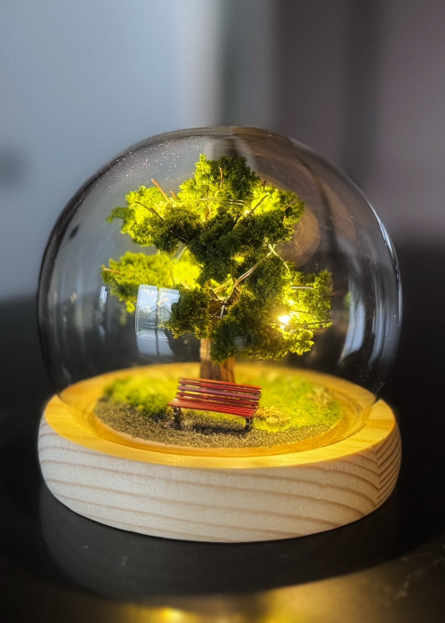 Летний вечер