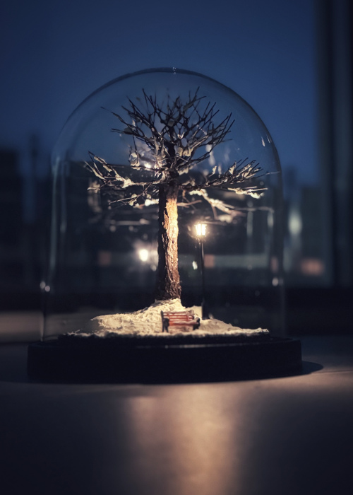 Зимние объятия