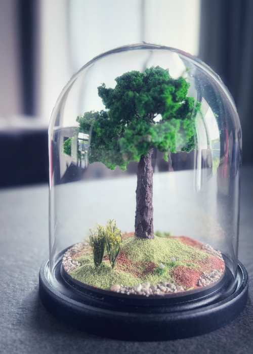 Летний день