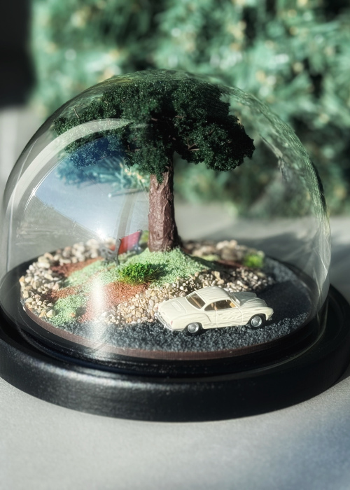 Вечерний свет